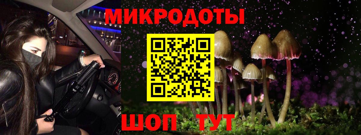 Самара  Псилоцибиновые грибы Magic Shrooms  Вход с VPN  Псилоцибиновые грибы Psilocybe 